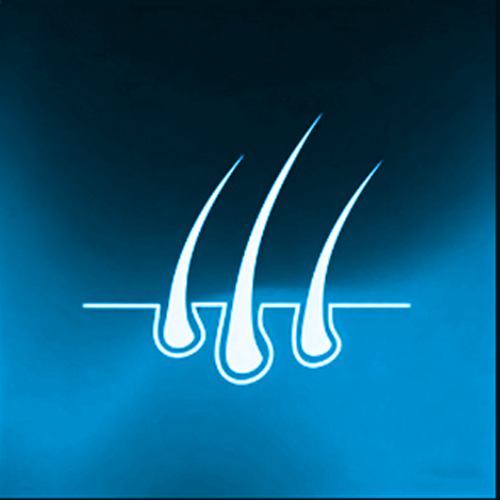 Implantované lidské vlasy [+ 6 840 Kč]